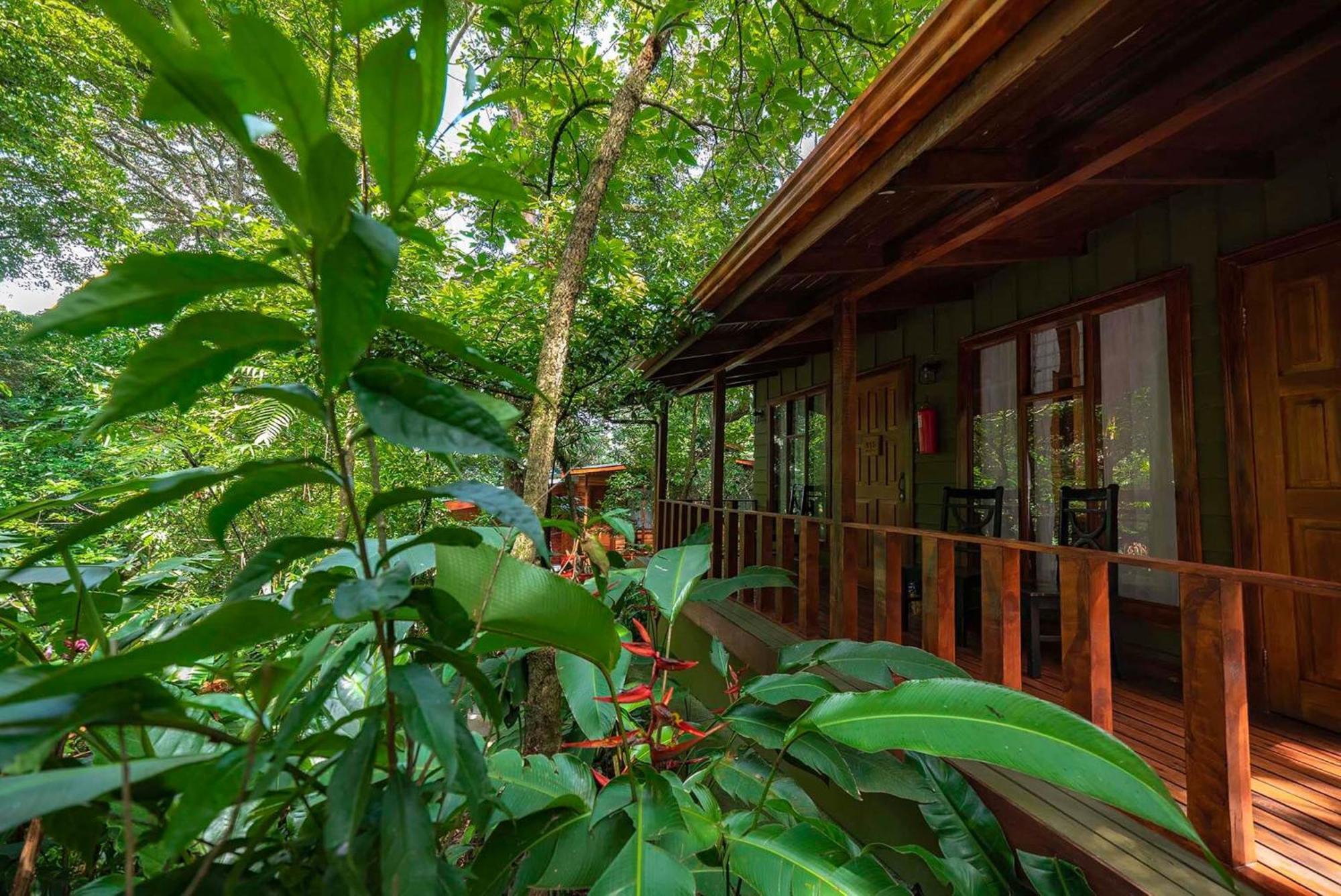 Jaguarundi Jungle Lodge - Monteverde ภายนอก รูปภาพ