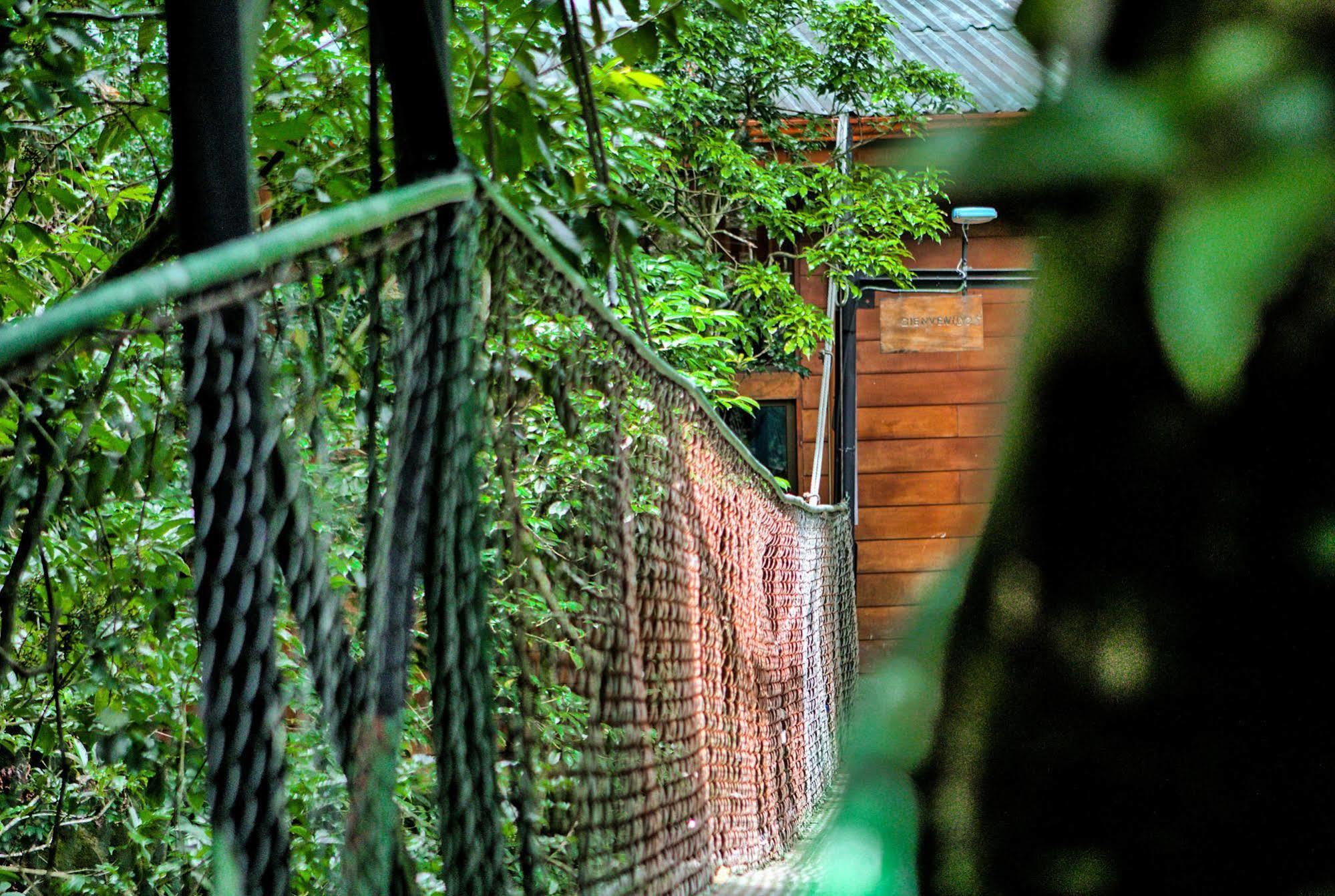 Jaguarundi Jungle Lodge - Monteverde ภายนอก รูปภาพ