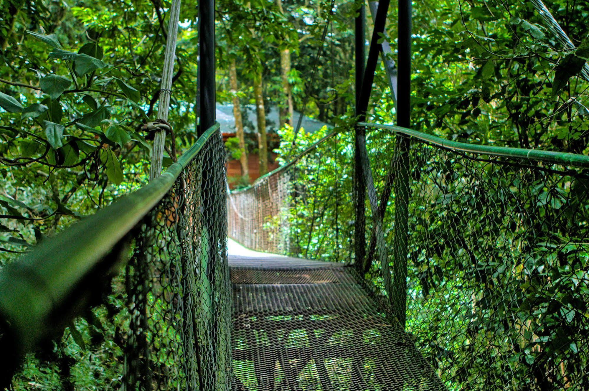 Jaguarundi Jungle Lodge - Monteverde ภายนอก รูปภาพ