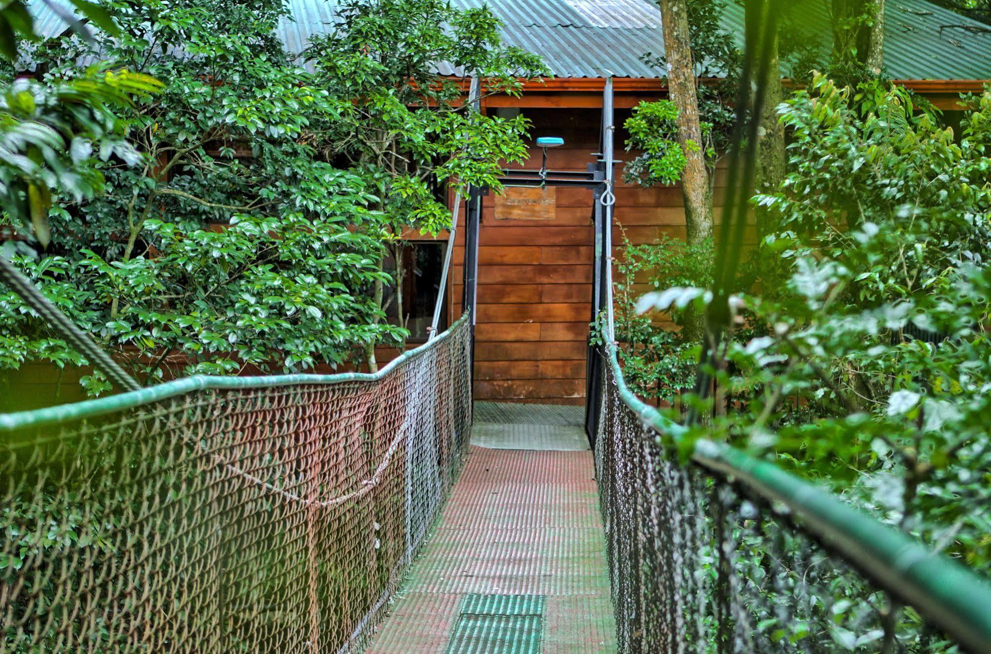 Jaguarundi Jungle Lodge - Monteverde ภายนอก รูปภาพ
