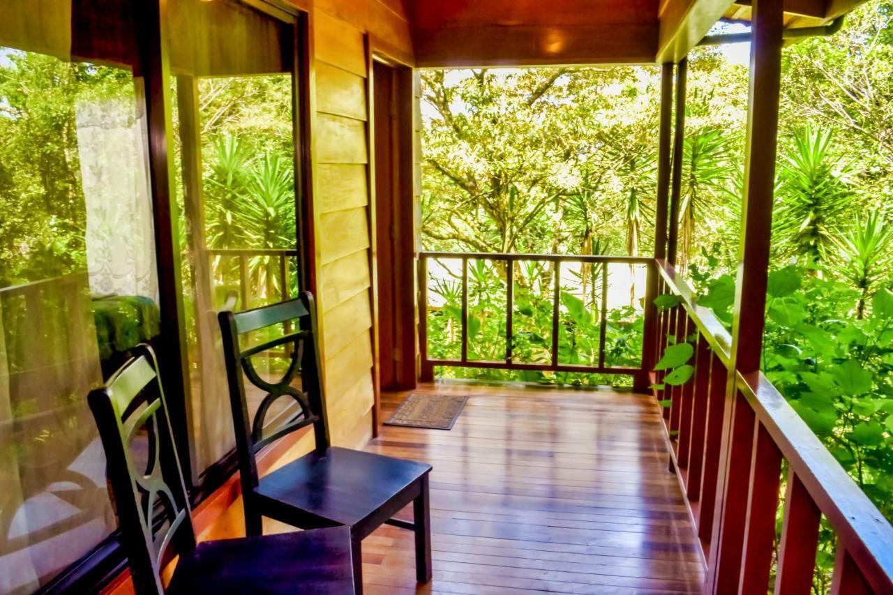 Jaguarundi Jungle Lodge - Monteverde ภายนอก รูปภาพ
