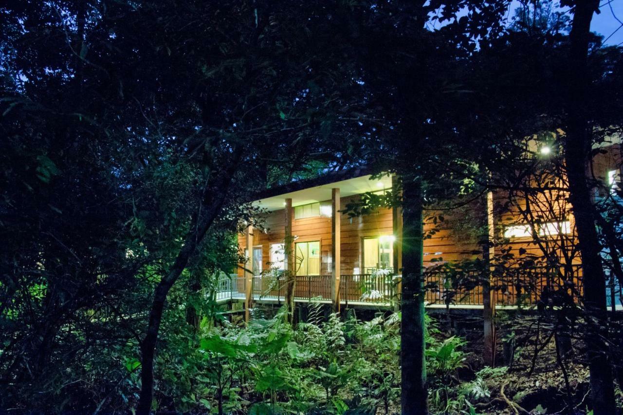 Jaguarundi Jungle Lodge - Monteverde ภายนอก รูปภาพ